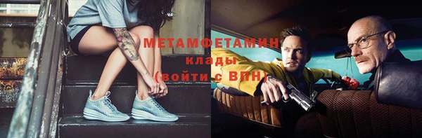 сатива Беломорск