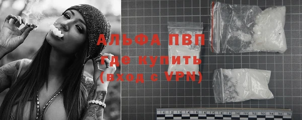 сатива Беломорск