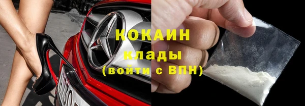 сатива Беломорск