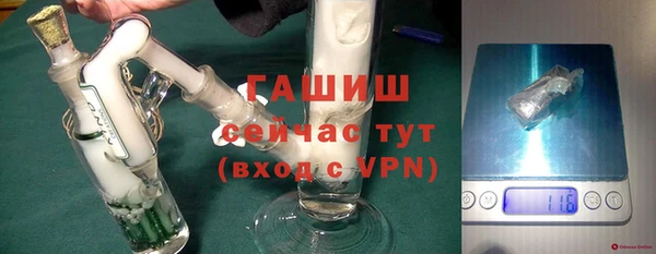 сатива Беломорск