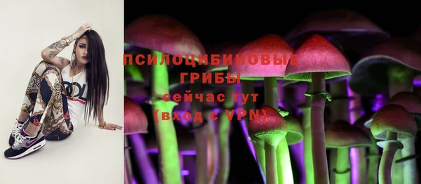 сатива Беломорск