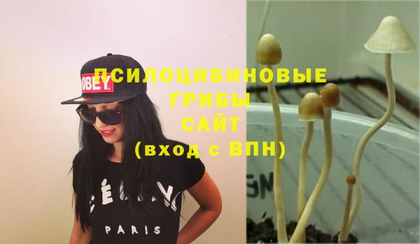 крисы Белоозёрский