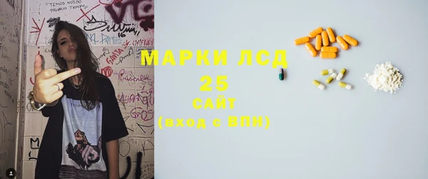 сатива Беломорск
