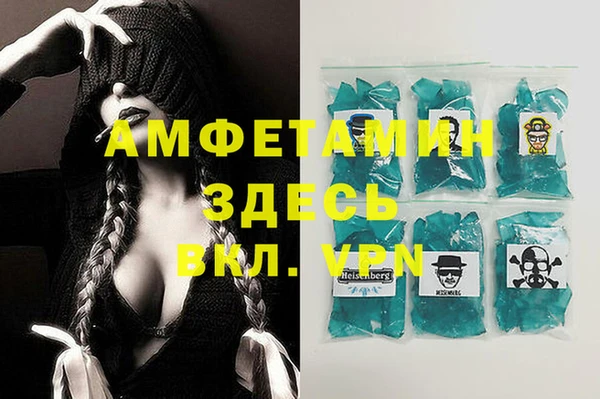 сатива Беломорск