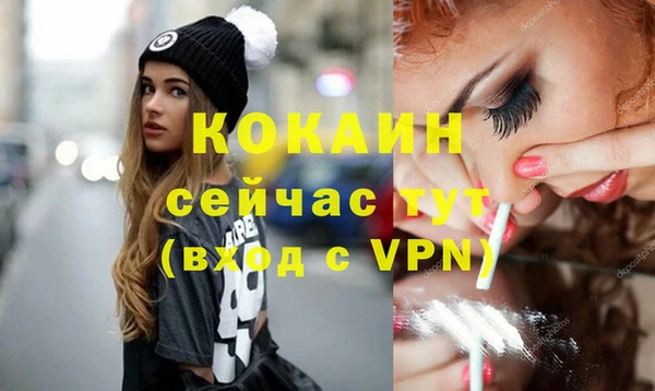 сатива Беломорск