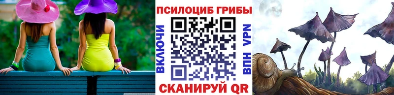 продажа наркотиков  Мглин  Псилоцибиновые грибы Magic Shrooms 